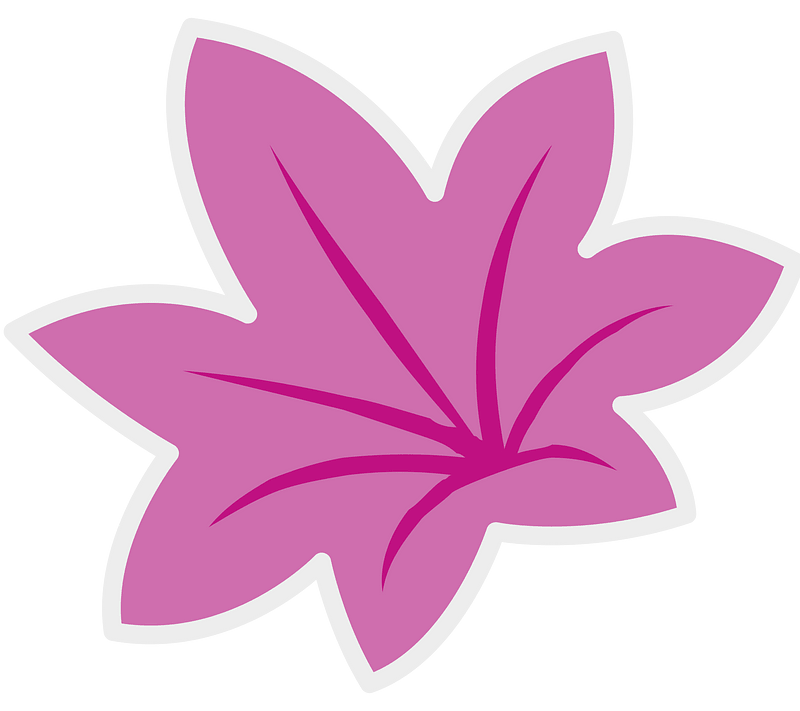 Cherry Blossom