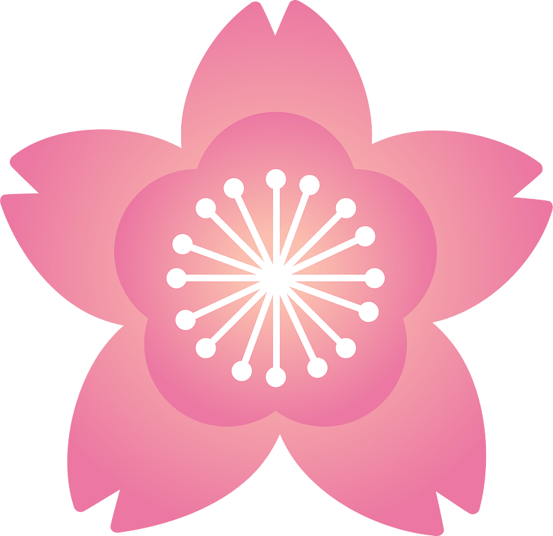 Körsbärsblomma