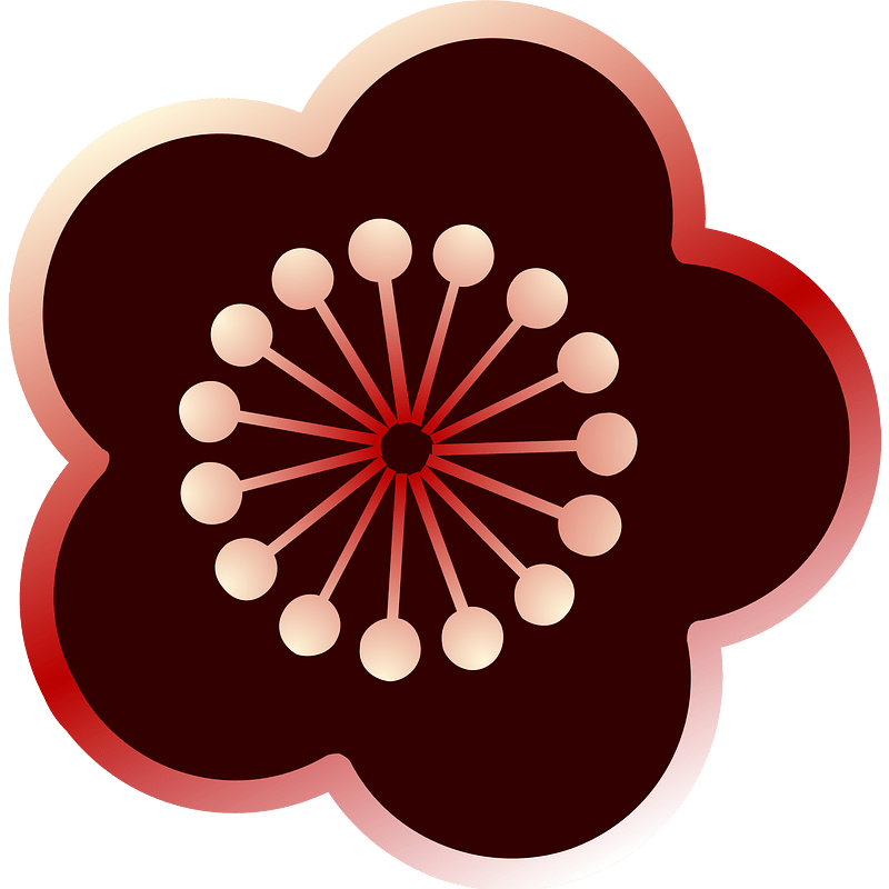 Kirsebærblomst