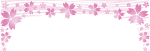 Cherry Blossoms