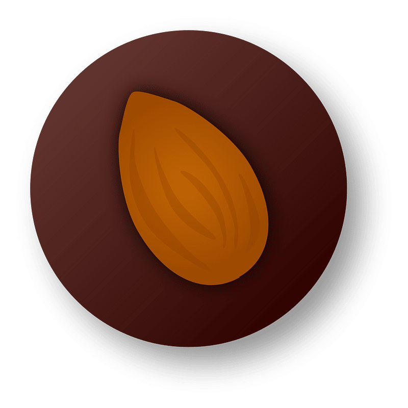 chocolate candy