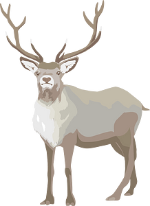 christmas reindeer