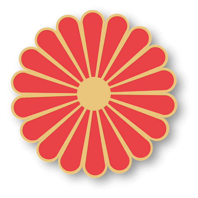 chrysanthemum blossom