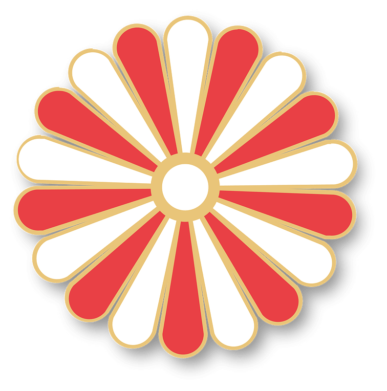 chrysanthemum blossom