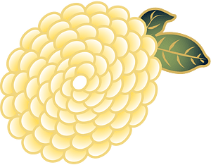 chrysanthemum blossom