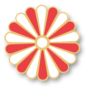 chrysanthemum blossom