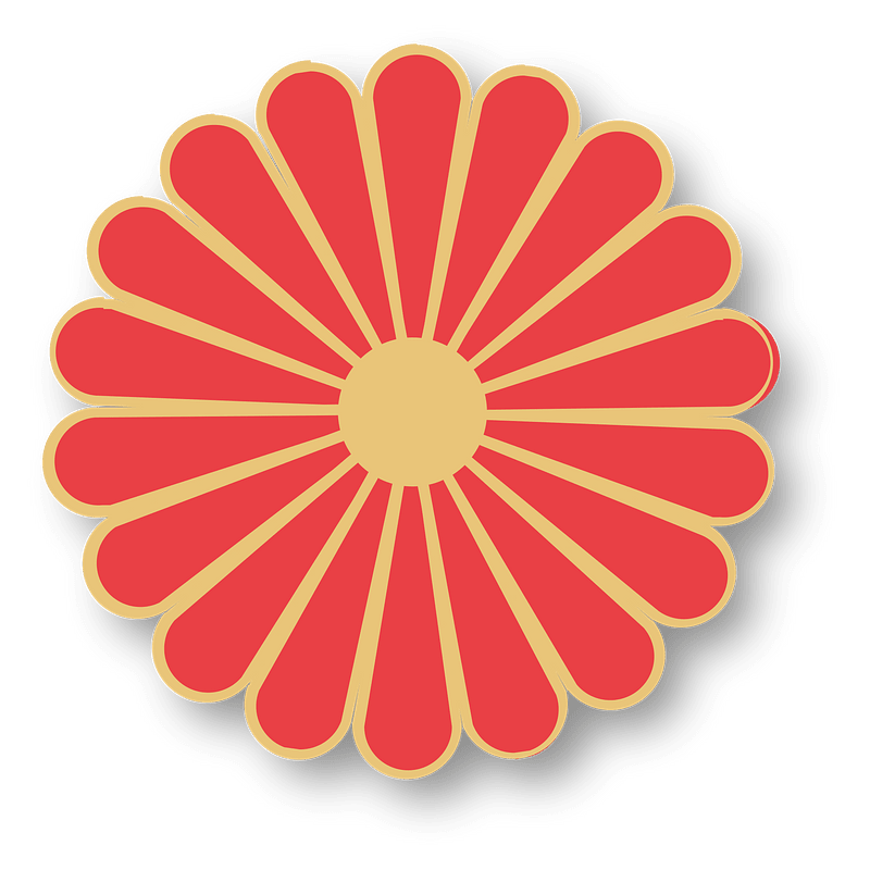 chrysanthemum blossom