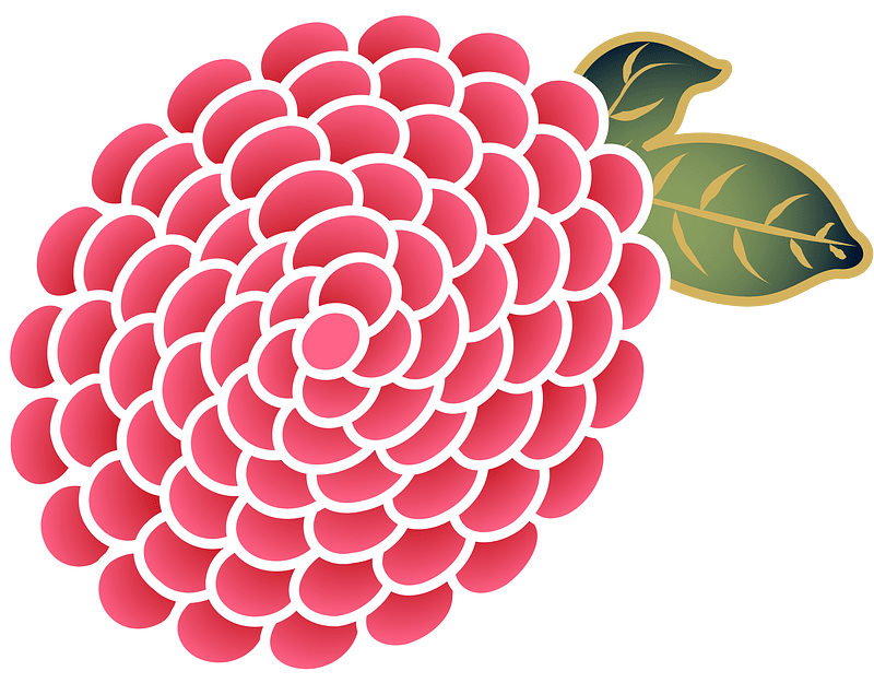 chrysanthemum blossom