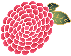 chrysanthemum blossom