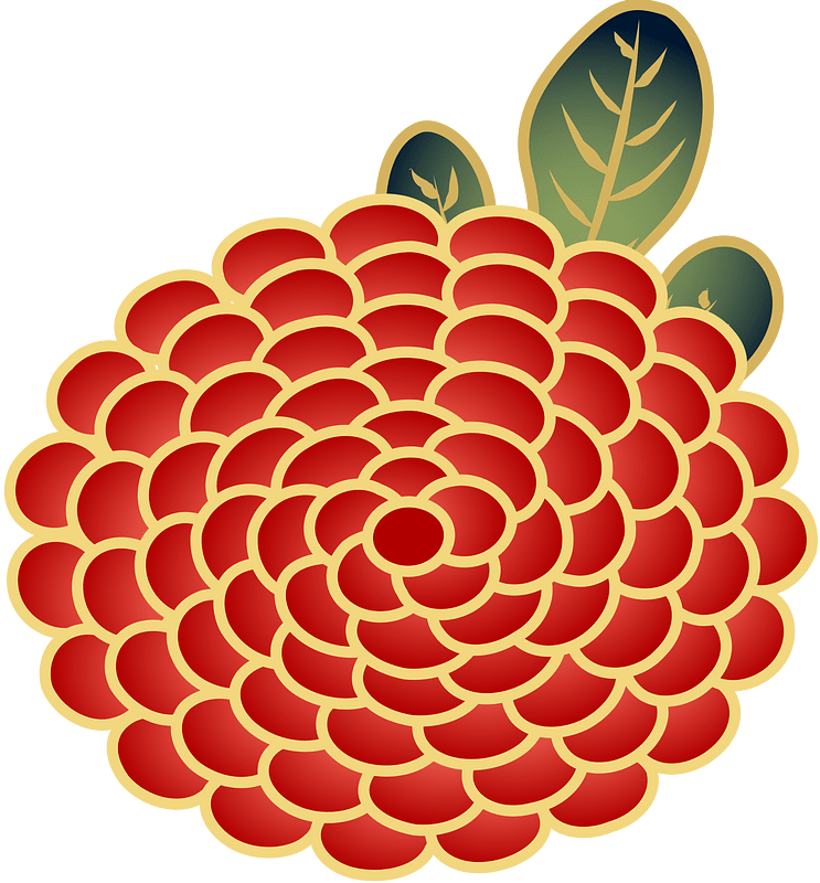 chrysanthemum blossom