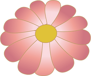 chrysanthemum blossom