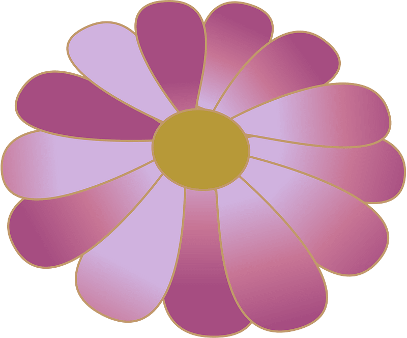 chrysanthemum blossom