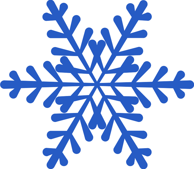 Fiocco di neve