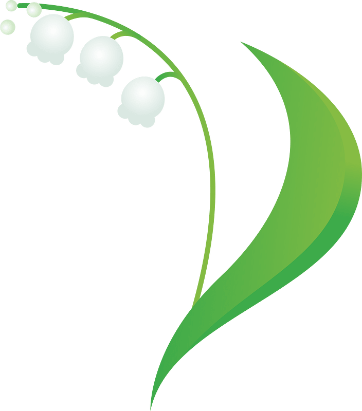 Lily of the valley