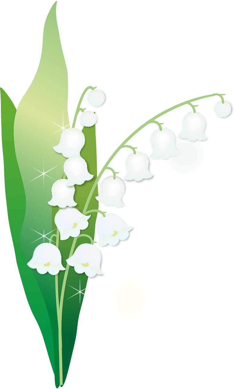 Lily of the valley
