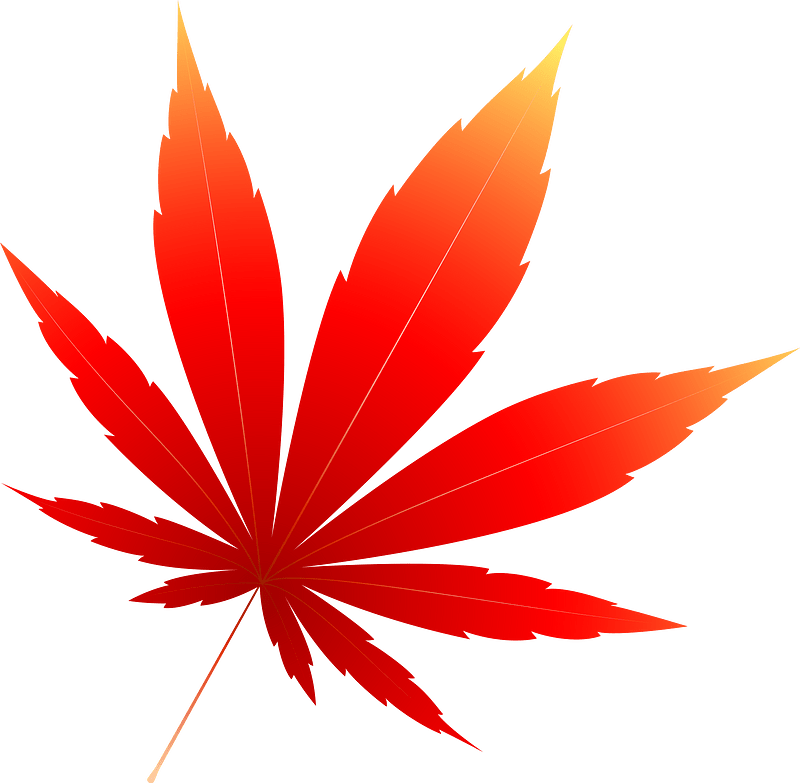 かえで