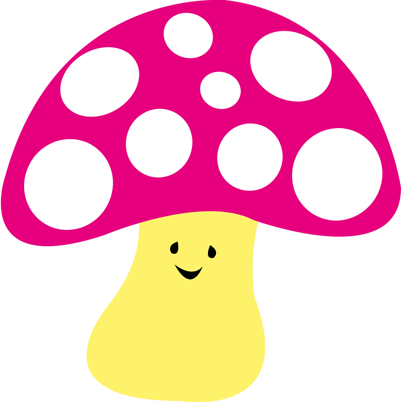 Mushroom fungus autumn