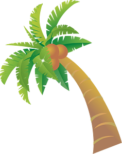 Palm tree