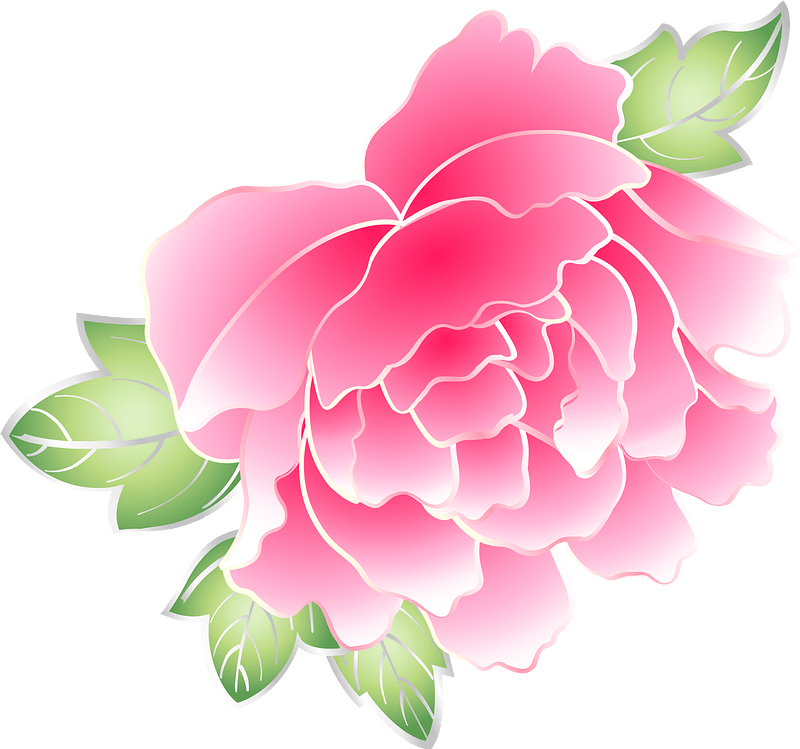 Peonies cherry blossoms