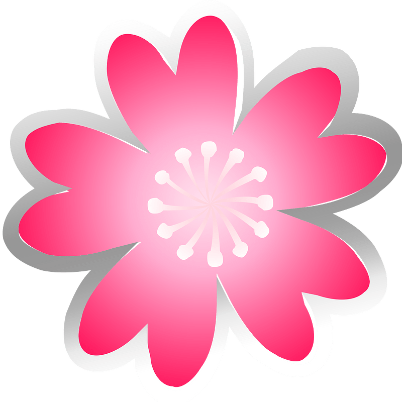Peonies cherry blossoms