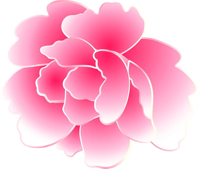 Peonies cherry blossoms