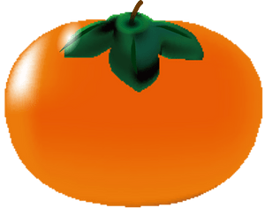 Persimmon
