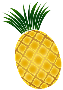 Pineapples fruit