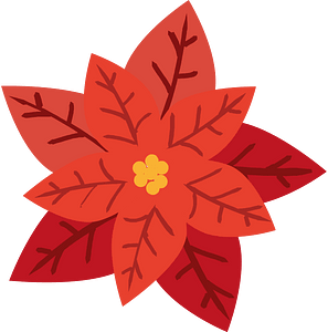 Poinsettia