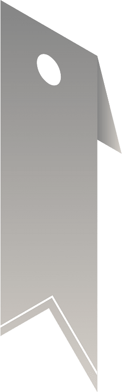 리본
