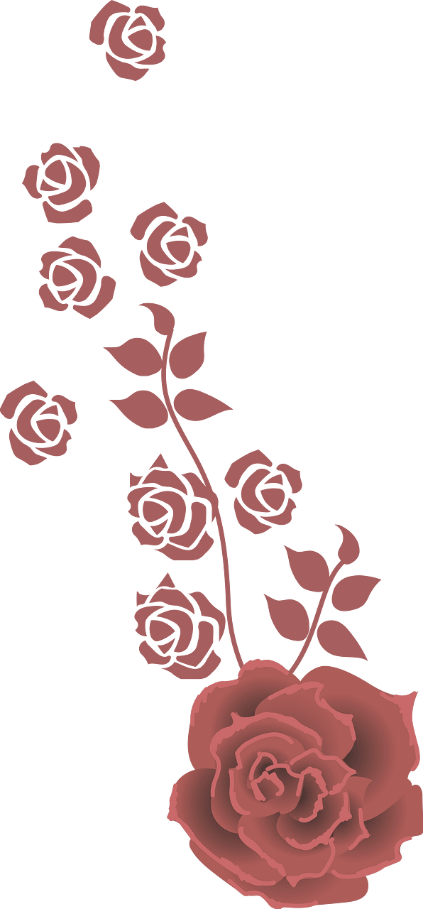 玫瑰花