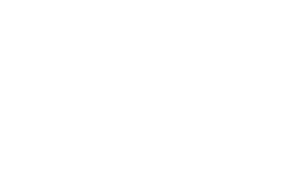 Seagull