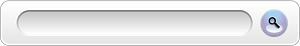 Search box