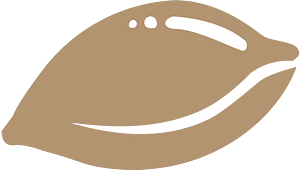 贝壳