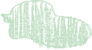 Speech bubbles crayon