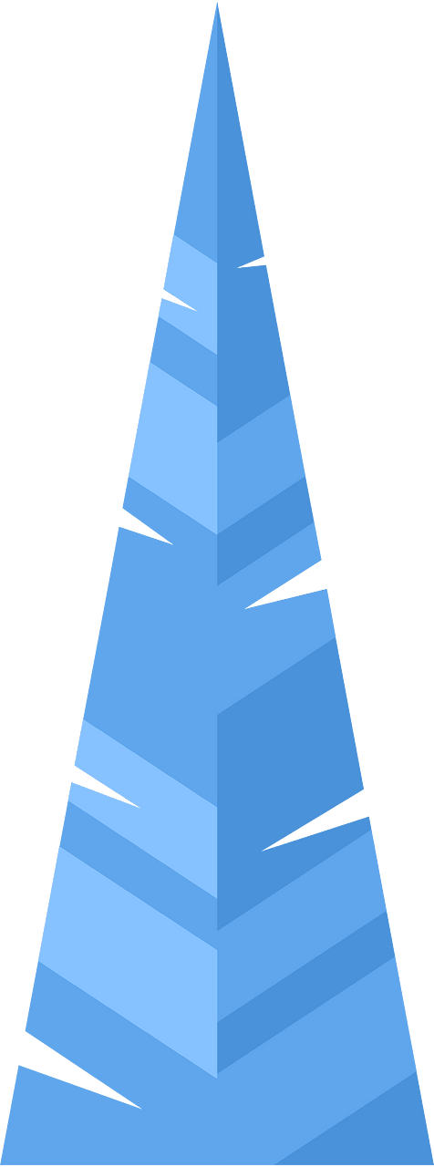 Spruce tree
