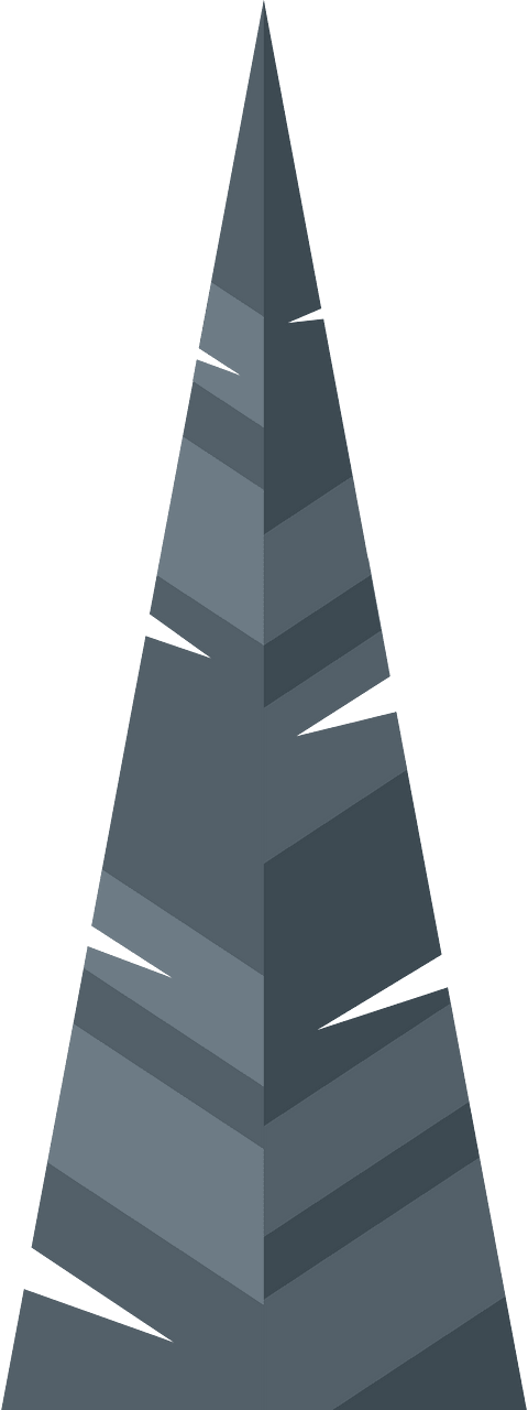 Spruce tree