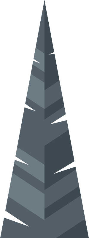 Spruce tree