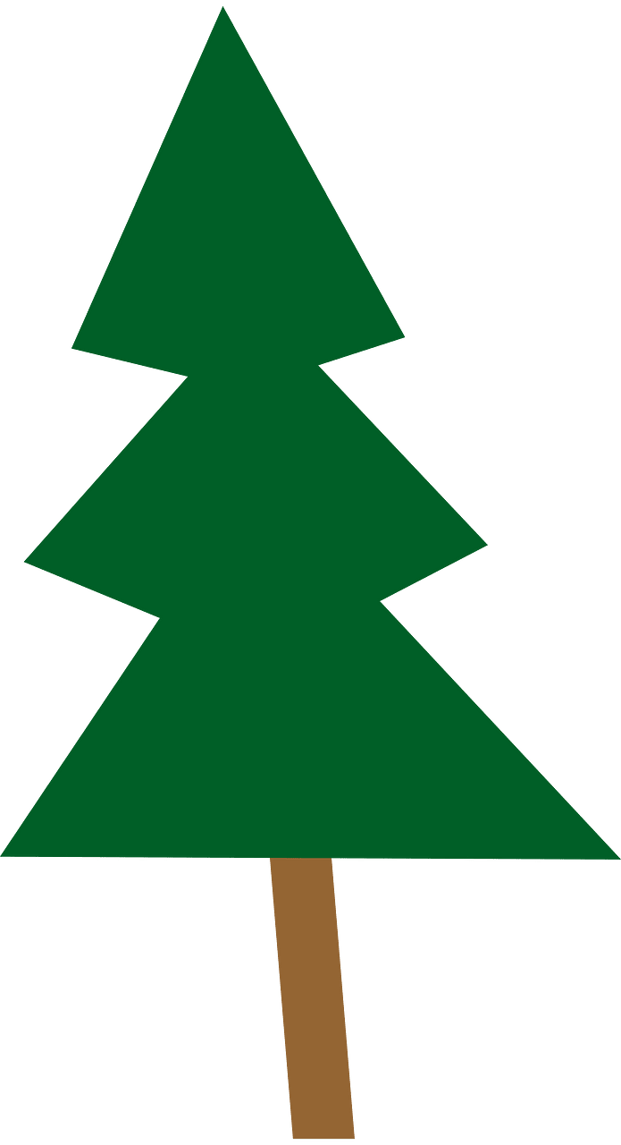 Spruce tree