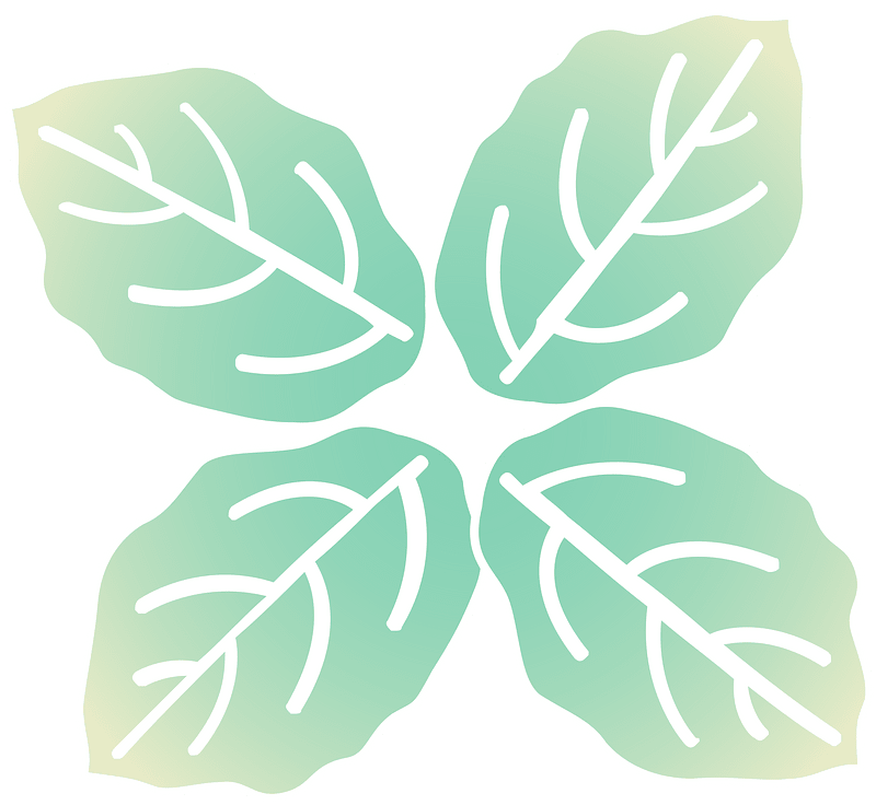 Strawberry leaves