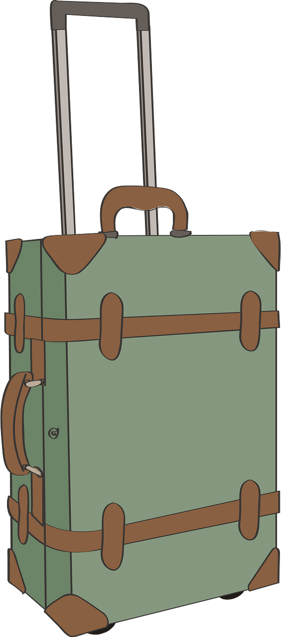 Travel trunk
