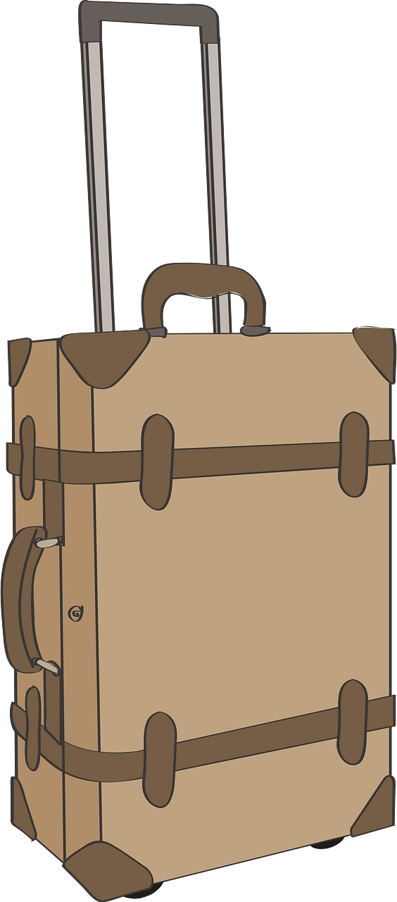Travel trunk