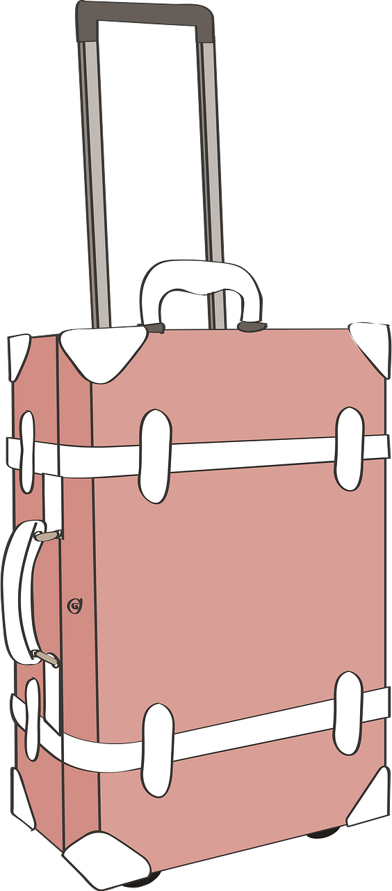Travel trunk