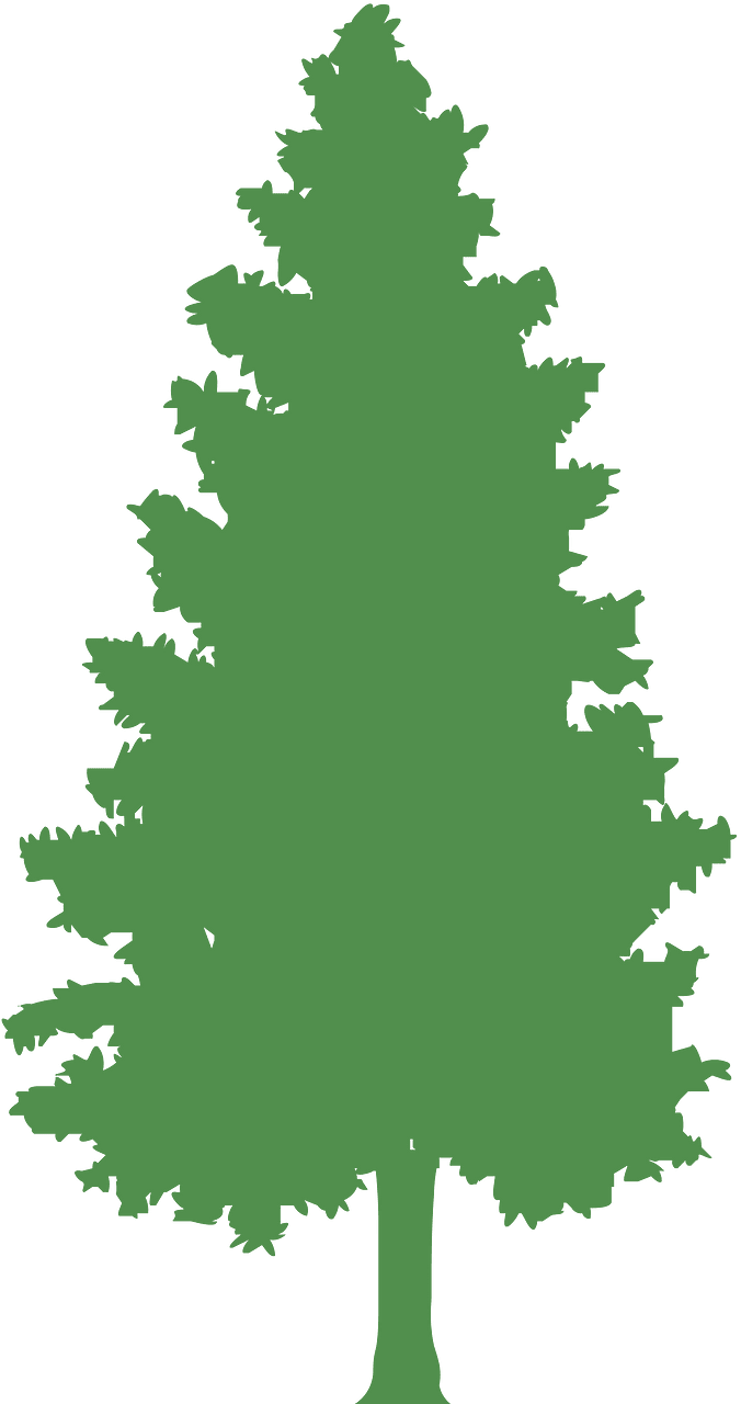 Pohon