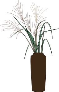 Tsukimi pampas grass