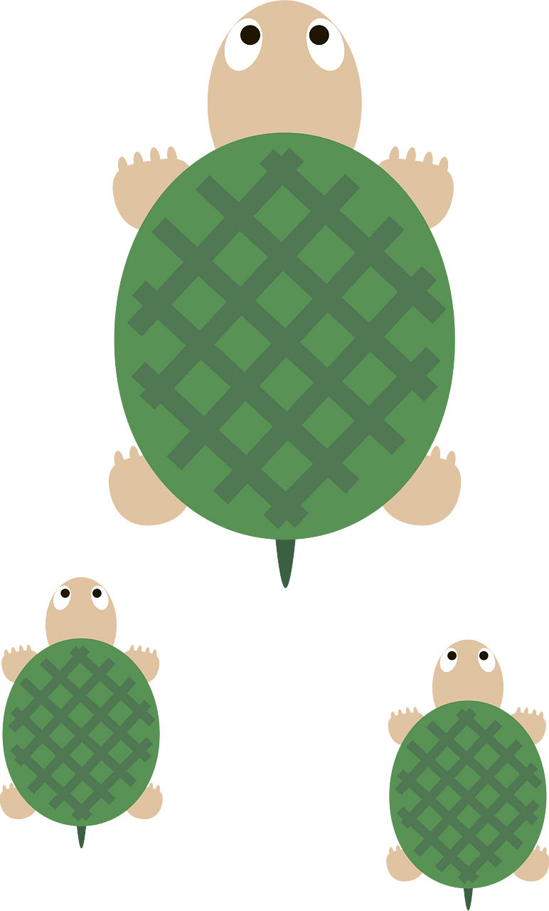 Turtles