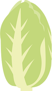 Vegetable