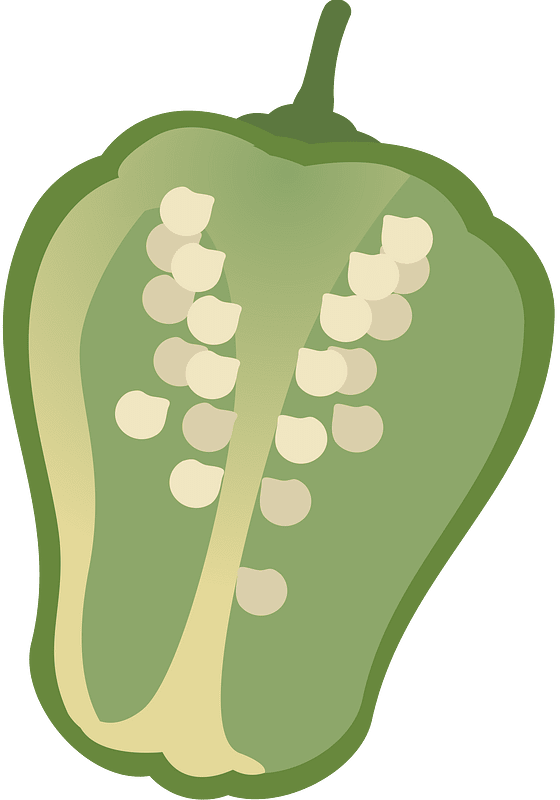 Vegetable