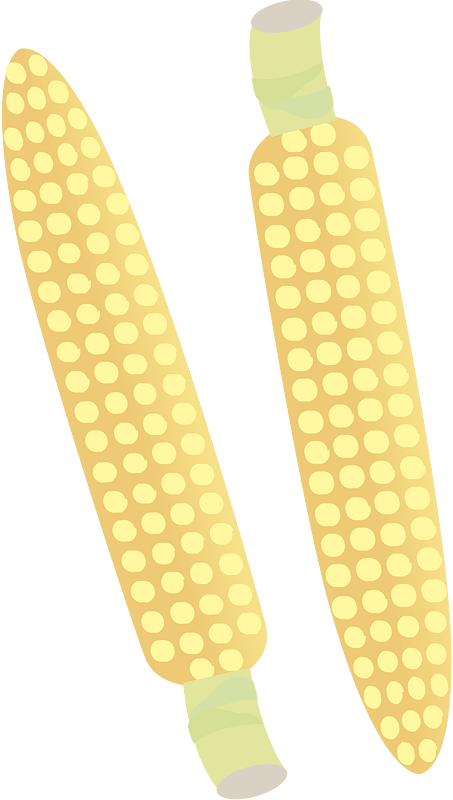 Vegetable