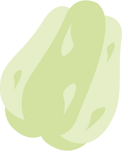 Vegetable