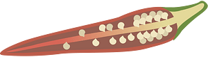 Vegetable